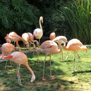 Meet your Posher, Ana